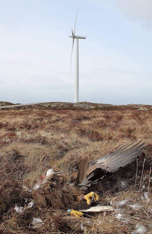 Opfer eines Windkraftrades in Nordnorwegen